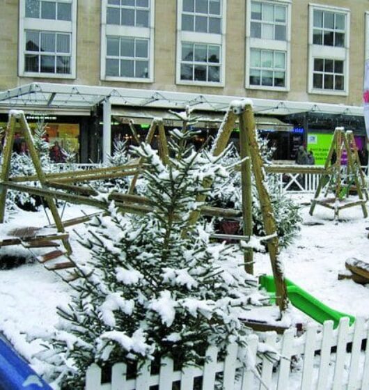 Location baby grimpe GLiss Event