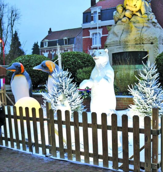 Décoration polaire pour événement