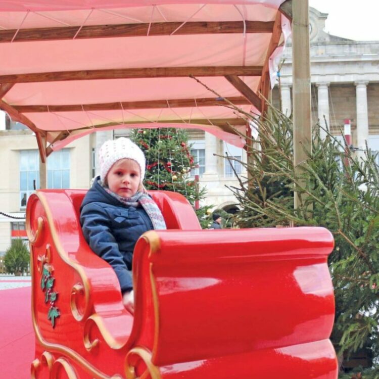 Location petit train Ile de France