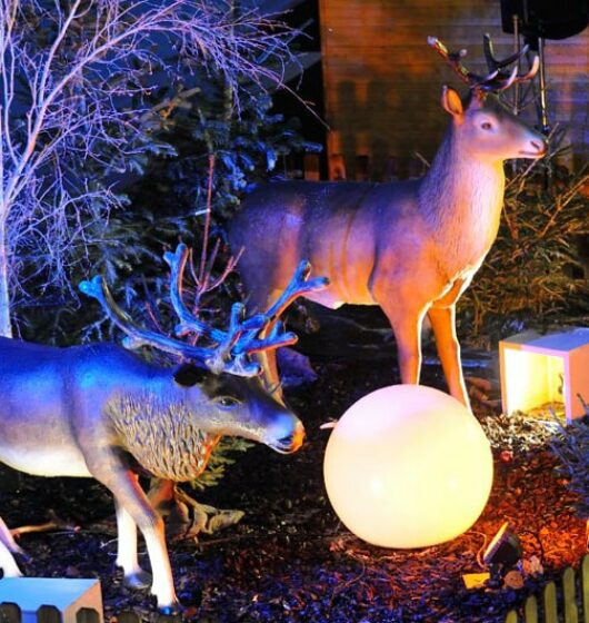 Décoration Cerf et rennes