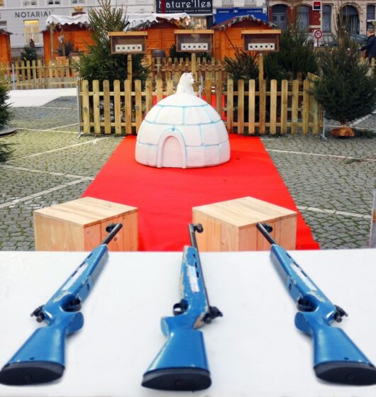 Location piste de ski de fond et biathlon